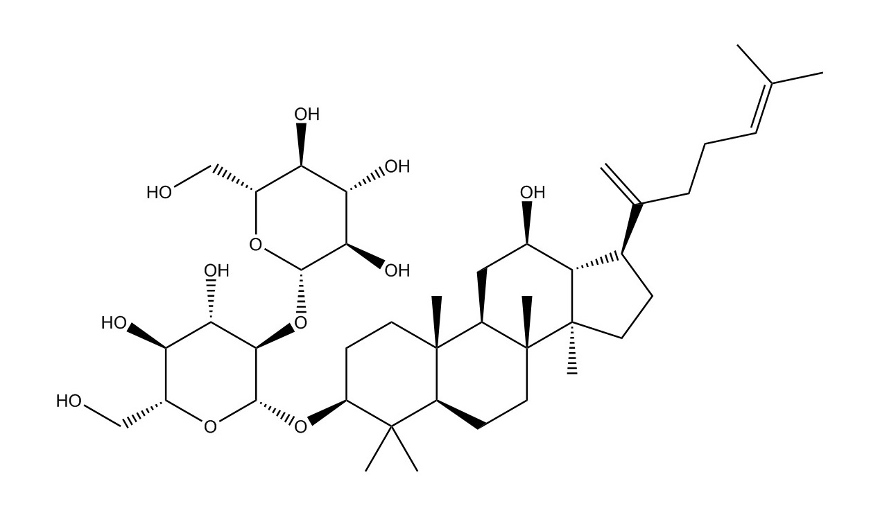 人參皂苷Rk1|494753-69-4